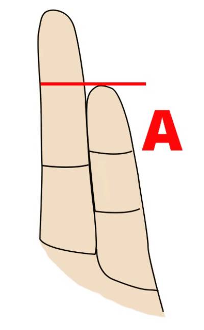 finger length personality